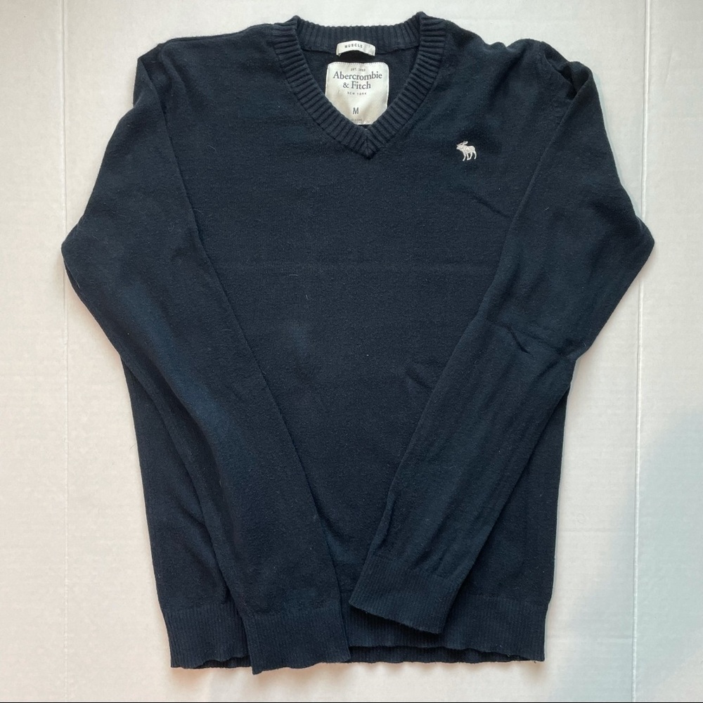 A&F Men’s Medium V-Neck Sweater